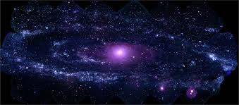 cosmos