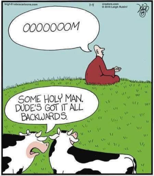 Ooom Bathtub Bulletin