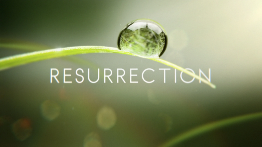Resurrection (U.S. TV series) | Disney Wiki | Fandom
